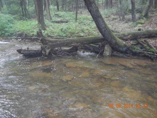 fowlers hollow.Laural run 06-09-14 031.jpg -                                